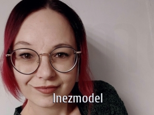 Inezmodel