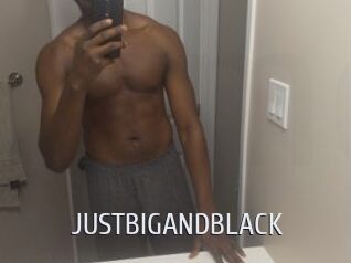 JUSTBIGANDBLACK