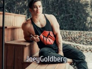 JoeyGoldberg