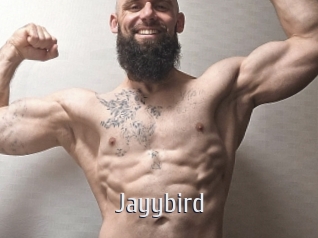 Jayybird