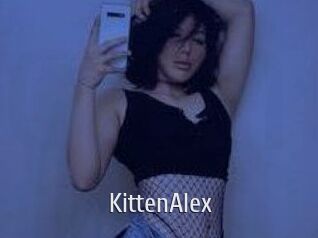 KittenAlex