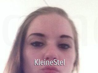 KleineStel