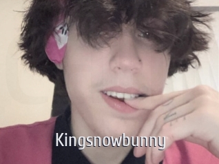 Kingsnowbunny