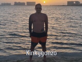 Kinkygonzo