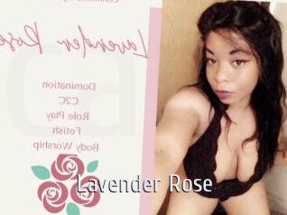 Lavender_Rose