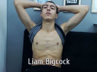 Liam_Bigcock