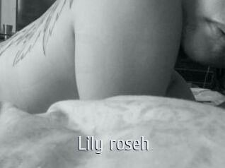 Lily_roseh
