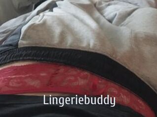 Lingeriebuddy