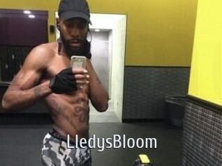 Lledys_Bloom