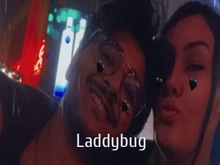 Laddybug