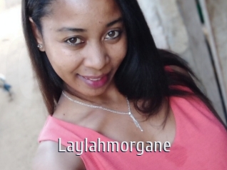 Laylahmorgane