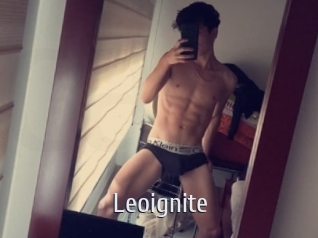 Leoignite