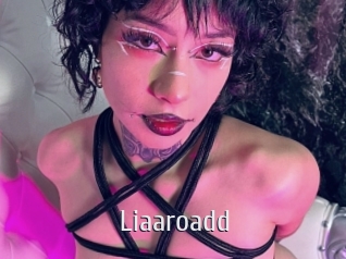 Liaaroadd