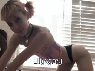 Lilyxgrey