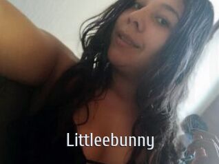 Littleebunny