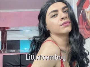 Littlefeemboy