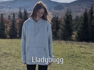Lladybugg