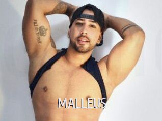 MALLEUS