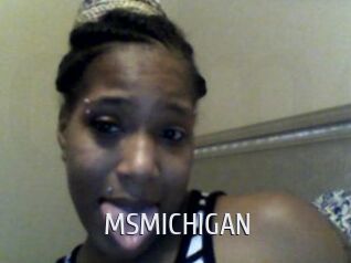 MSMICHIGAN