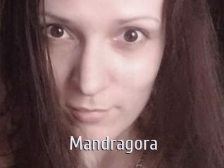 Mandragora