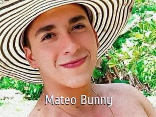 Mateo_Bunny