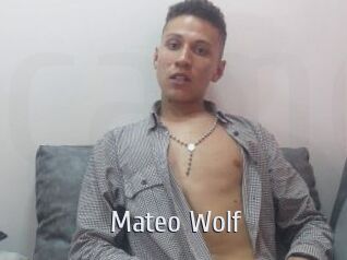 Mateo_Wolf