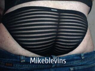 Mikeblevins