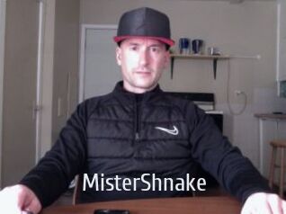 MisterShnake