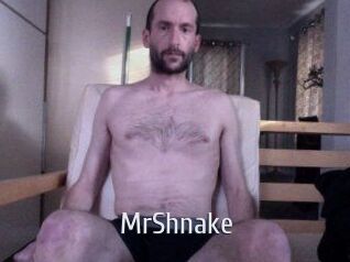 MrShnake