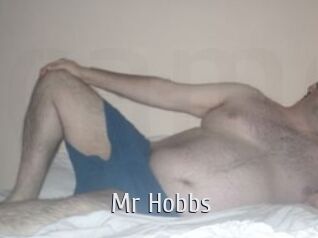 Mr_Hobbs