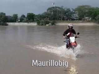 Maurillobig