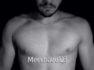 Mecchaud123