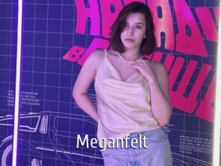 Meganfelt