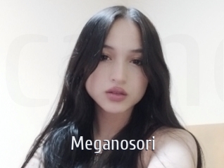 Meganosori