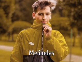 Meliiodas