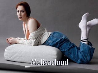 Melisacloud