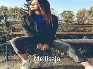 Mellisajo