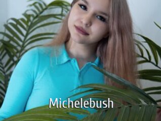 Michelebush