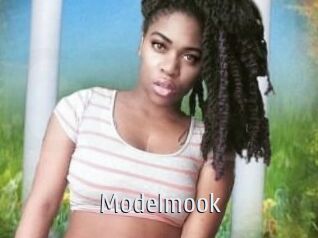 Modelmook