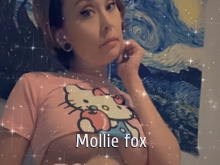 Mollie_fox