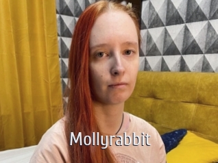 Mollyrabbit