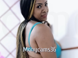 Monycams36