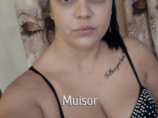 Muisor