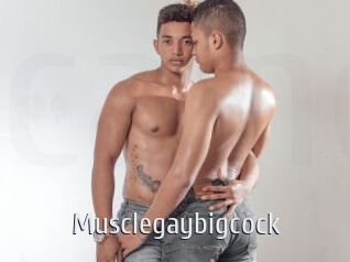 Musclegaybigcock