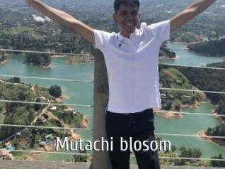 Mutachi_blosom