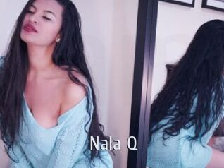 Nala_Q