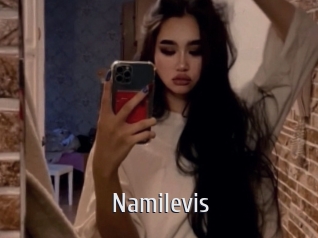 Namilevis