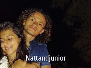 Nattandjunior