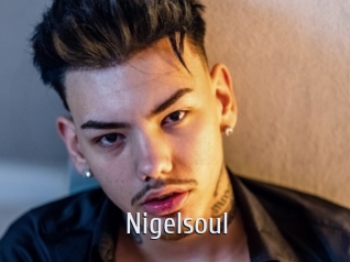 Nigelsoul