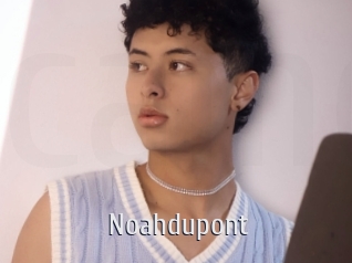 Noahdupont